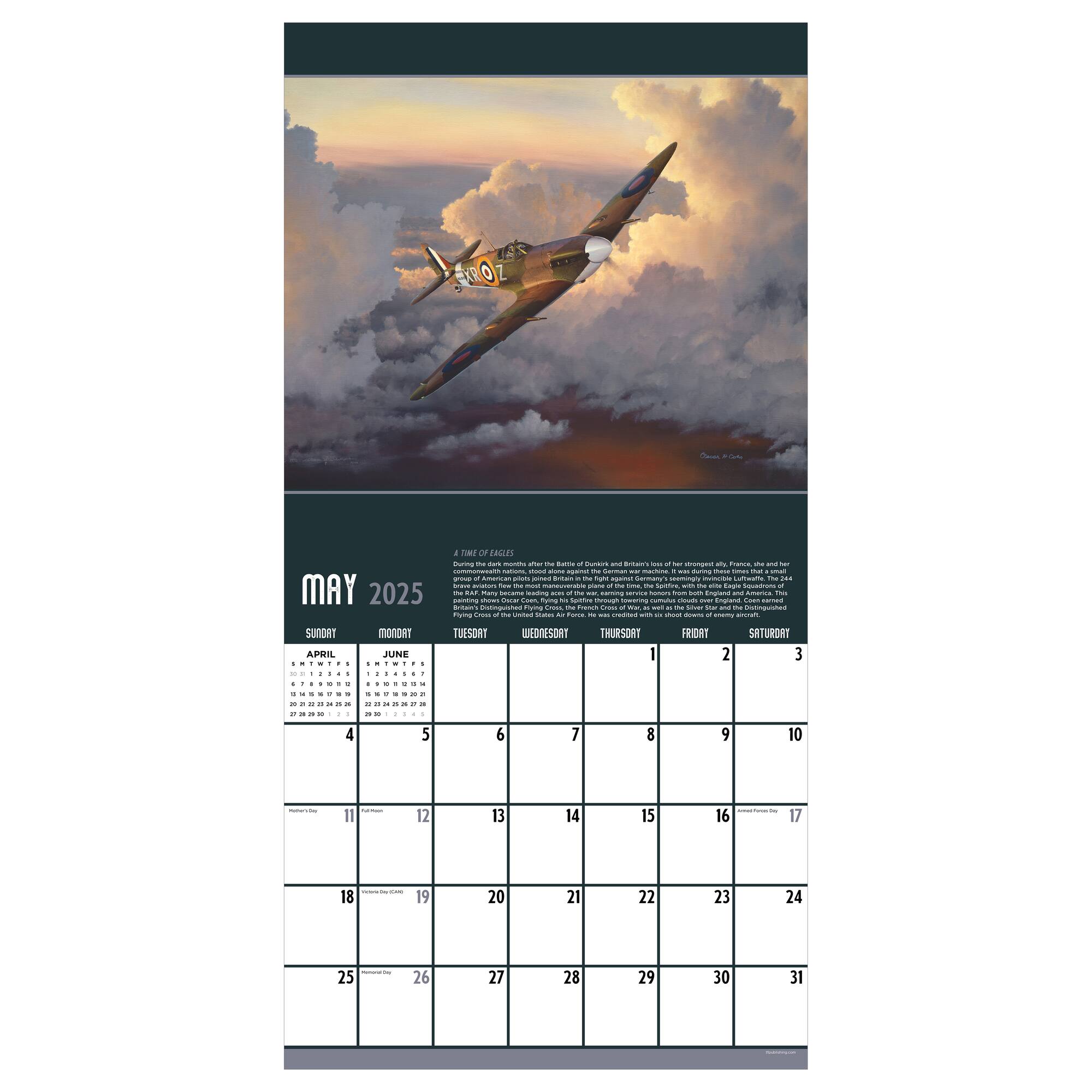 TF Publishing 2025 American Aviation Wall Calendar